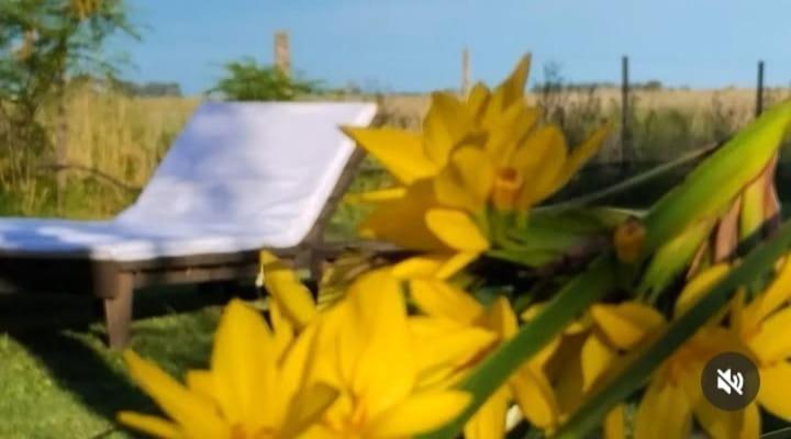 הוילה פהואחו La Narcisa מראה חיצוני תמונה