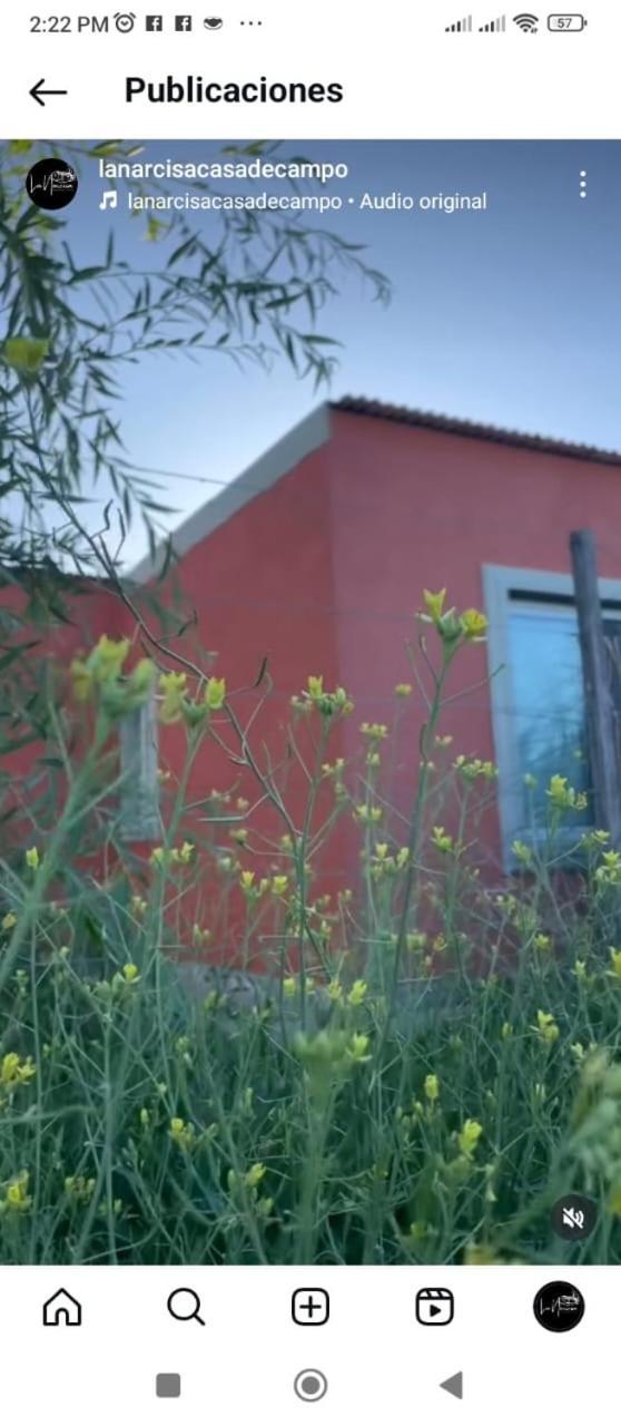 הוילה פהואחו La Narcisa מראה חיצוני תמונה